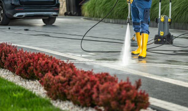 Best Graffiti Removal  in Pierce, CO